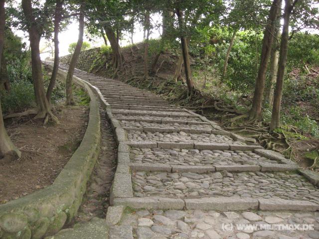 3537_Treppe