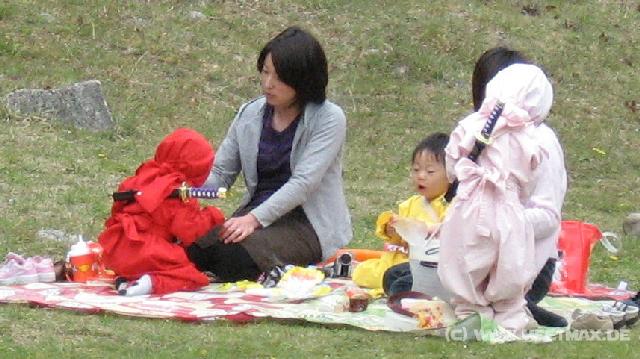3540_Ninja-Picknick
