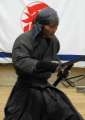 3481_Ninja-Show