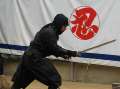 3494_Ninja-Show