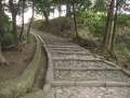 3537_Treppe