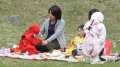 3540_Ninja-Picknick