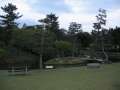 3608_Nara-Park