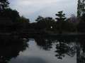 3614_Nara-Park
