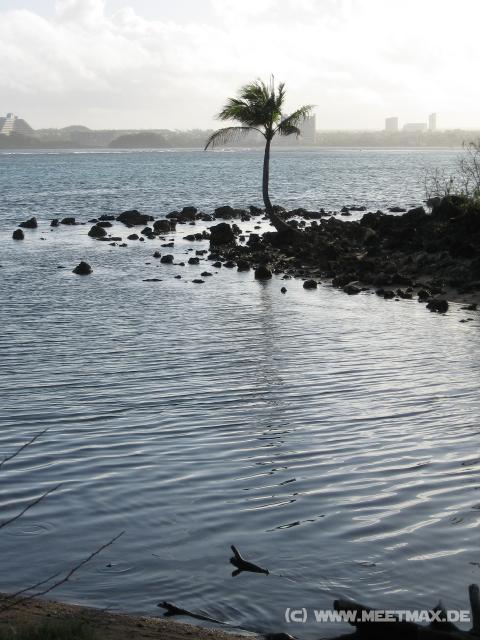 3777_Seal_View