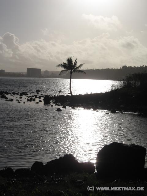 3779_Seal_View