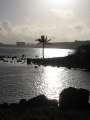 3779_Seal_View