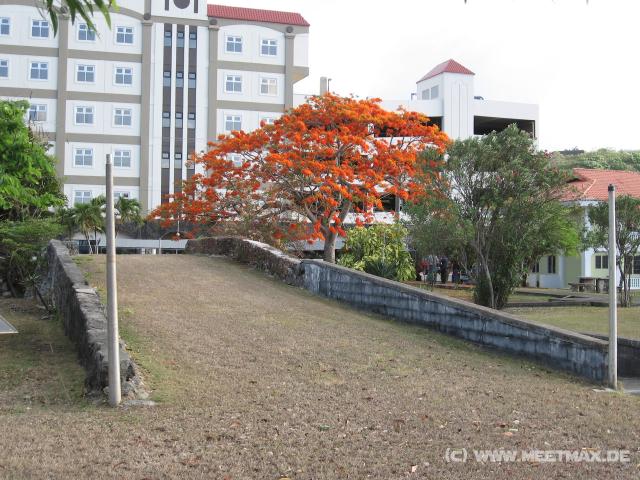 3947_San_Antonio_Bridge