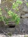 3876_Pillbox