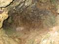 3884_Cave