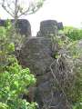 3885_Adelup_point