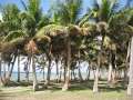 3910_Asan_beach