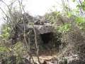 3921_Japanese_Pillbox
