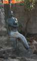 3946a_Sirena_the_Mermaid