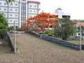 3947_San_Antonio_Bridge