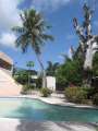 4595_Hotel_Sun_Palace