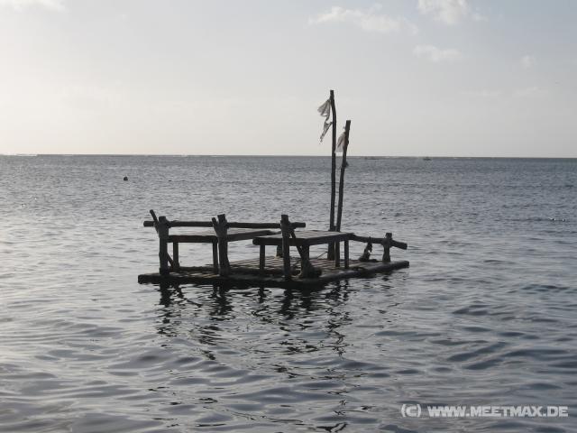 4043_Raft