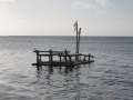 4043_Raft
