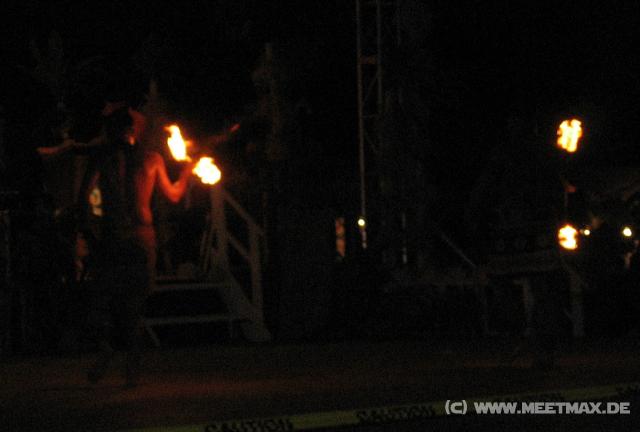 4073_Flame_Tree_Arts_Festival