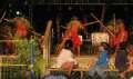 4093_Flame_Tree_Arts_Festival