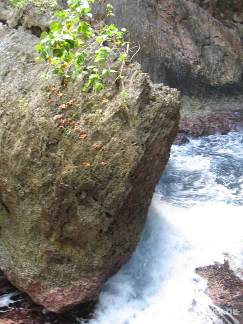 4119_Grotto