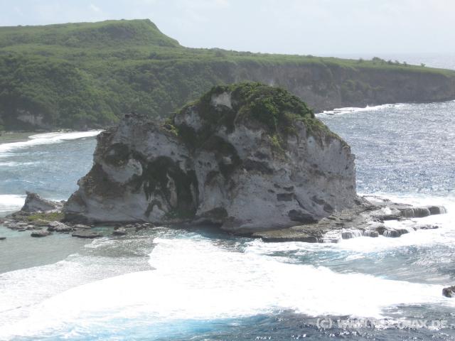 4128_Bird_Island