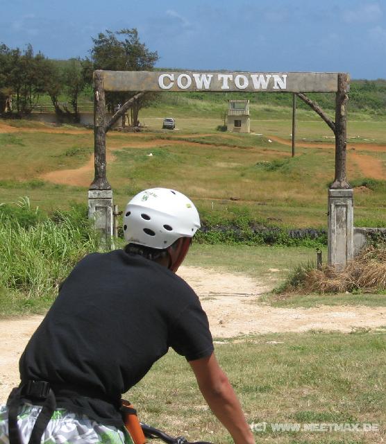 4159_Cow_town