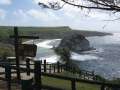 4126_Bird_Island