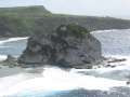 4128_Bird_Island