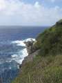 4131_Coast