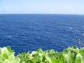 4172_Banzai_Cliff