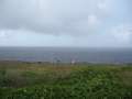 4257_Banzai_Cliff