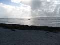 4269_Wing_Beach