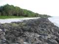 4272_Wing_Beach