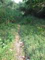 4273_Wing_Beach