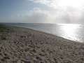 4278_Wing_Beach