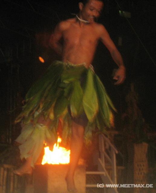 4460_Flame_Tree_Arts_Festival