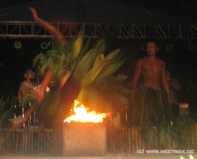 4463_Flame_Tree_Arts_Festival
