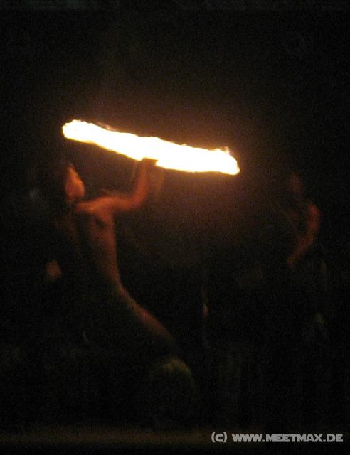 4483_Flame_Tree_Arts_Festival