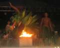 4463_Flame_Tree_Arts_Festival