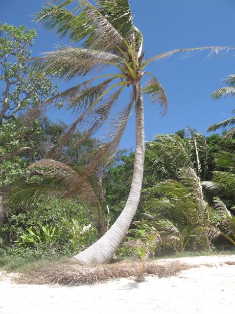 4534_Managaha_Island