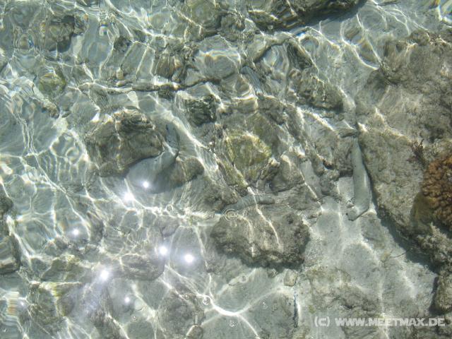 4590_Clear_water