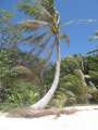 4534_Managaha_Island