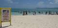 4541_No_swimming