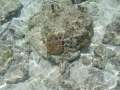 4589_Clear_water