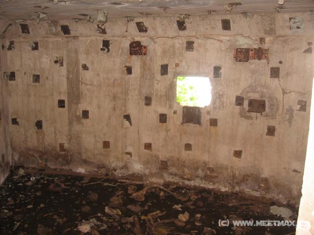 4636_Shelter