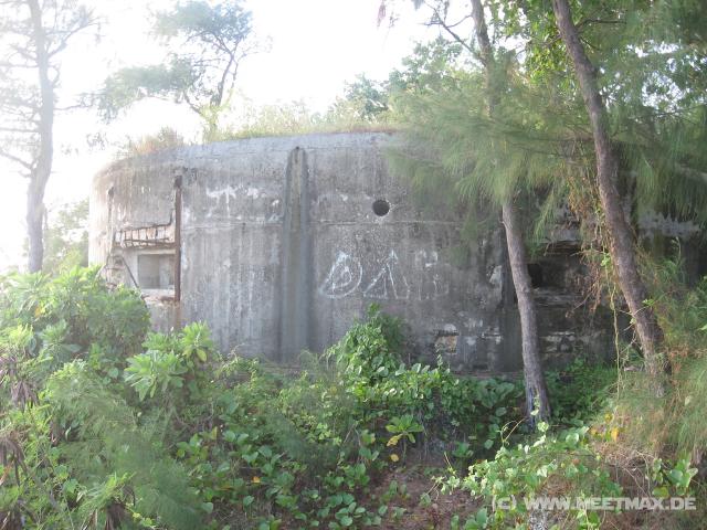 4637_Shelter