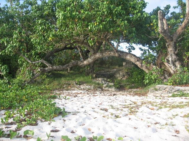 4638_Beach