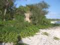 4635_Shelter