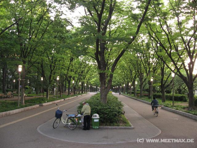 5336_Otsubo-Park